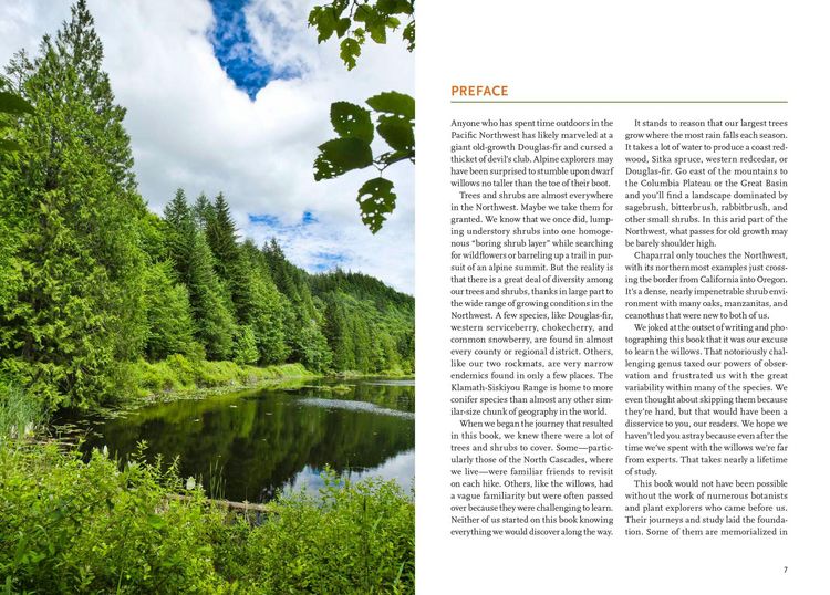 Produktbild: Trees and Shrubs of the Pacific Northwest