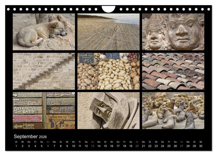 Produktbild: Colours (Wandkalender 2026 DIN A4 quer), CALVENDO Monatskalender