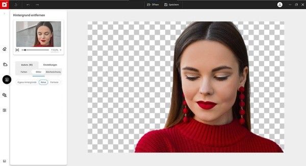 Produktbild: Ausschneiden Professional (Code in a Box)