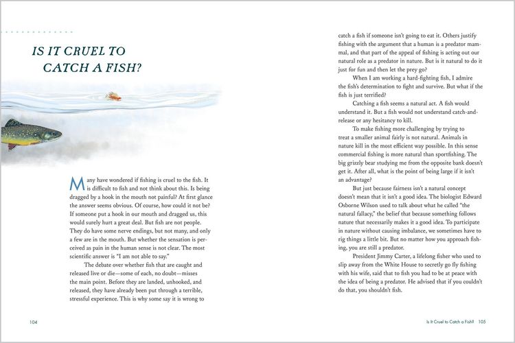 Produktbild: To Catch a Fish