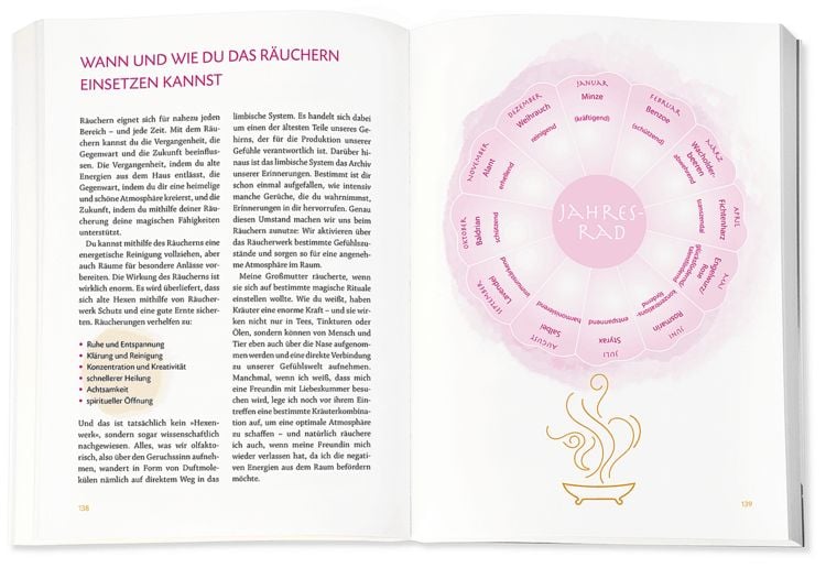 Produktbild: Die Hexenschule
