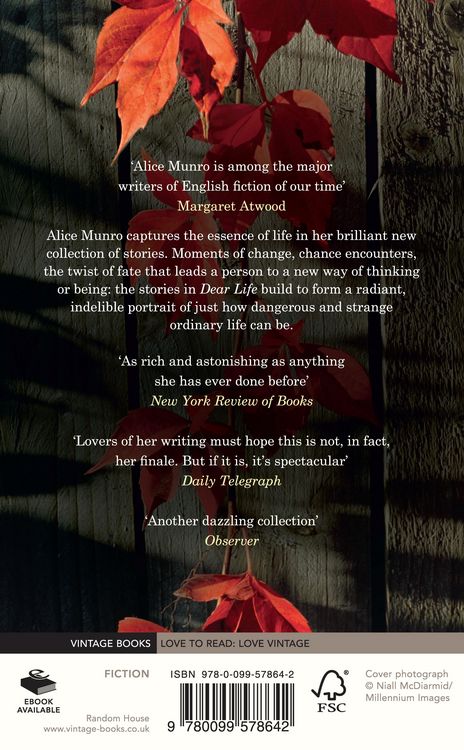 Produktbild: Munro, A: Dear Life