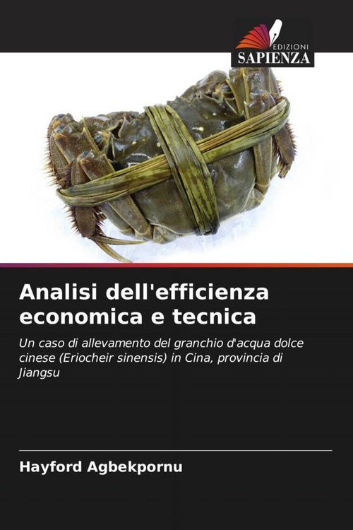 Produktbild: Analisi dell'efficienza economica e tecnica