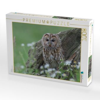 Produktbild: CALVENDO Puzzle Waldkauz | 1000 Teile Lege-Gr&ouml;&szlig;e 64x48cm Foto-Puzzle f&uuml;r gl&uuml;ckliche Stunden