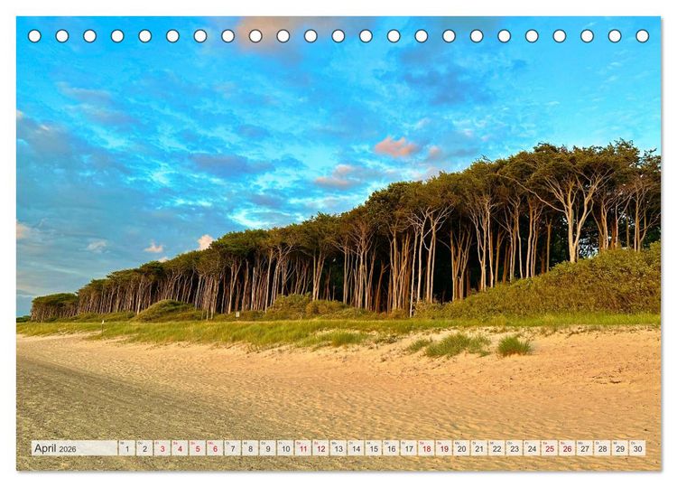 Produktbild: Fischland zwischen Ostsee und Bodden (Tischkalender 2026 DIN A5 quer), CALVENDO Monatskalender