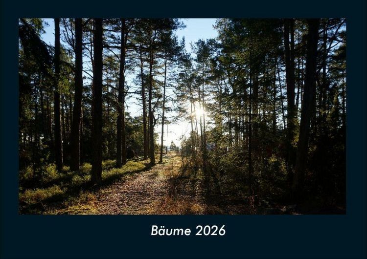 Produktbild: B&auml;ume 2026 Fotokalender DIN A4