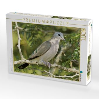 Produktbild: CALVENDO Puzzle Bronzefleck-Taube im Kruger Nationalpark | 1000 Teile Lege-Gr&ouml;&szlig;e 64x48cm Foto-Puzzle f&uuml;r gl&uuml;ckliche Stunden