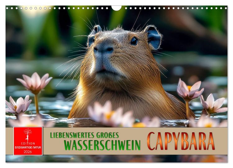 Produktbild: Capybara - liebenswertes gro&szlig;es Wasserschwein (Wandkalender 2026 DIN A3 quer), CALVENDO Monatskalender