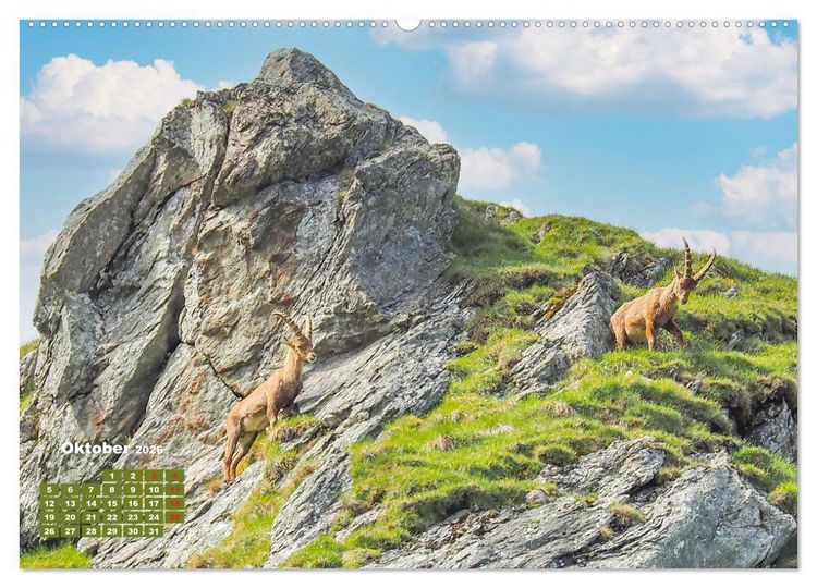 Produktbild: Gro&szlig;glockner, Alpen, Murmeltiere & mehr by VogtArt (hochwertiger Premium Wandkalender 2026 DIN A2 quer), Kunstdruck in Hochglanz