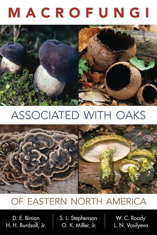 Produktbild: Macrofungi Associated with Oaks of Eastern North America