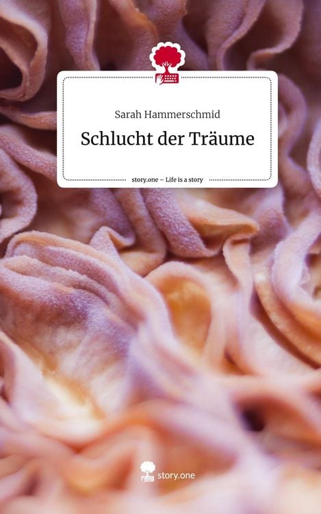 Produktbild: Schlucht der Tr&auml;ume. Life is a Story - story.one