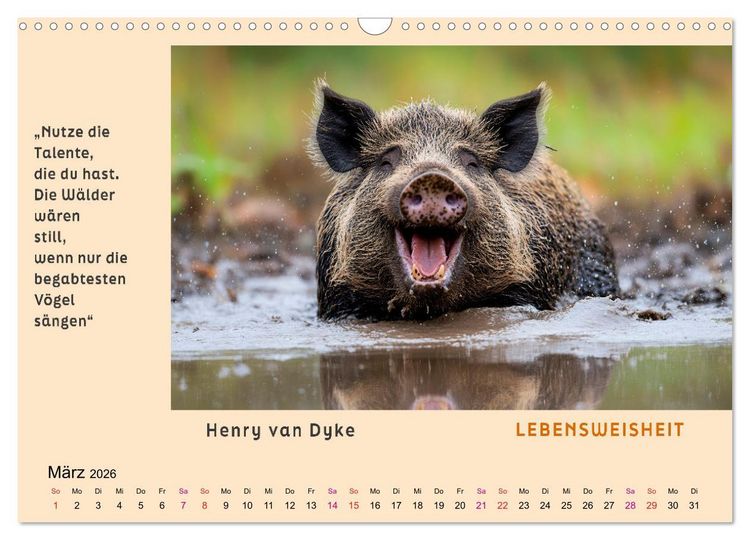 Produktbild: Pfiffig und weise (Wandkalender 2026 DIN A3 quer), CALVENDO Monatskalender