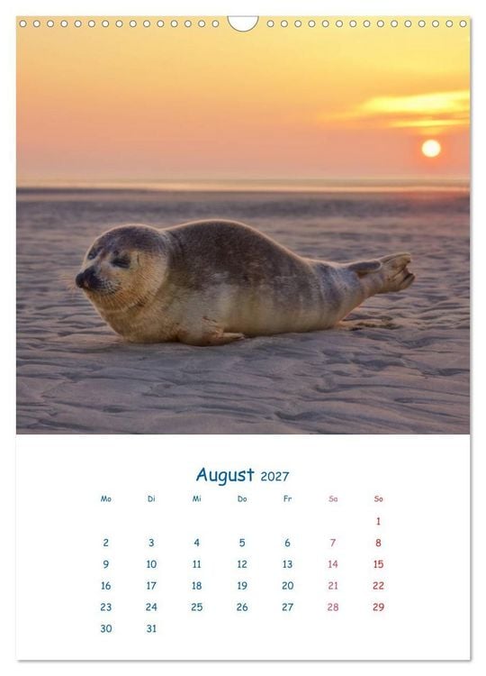 Produktbild: K&uuml;stenmomente des Jahres (Wandkalender 2027 DIN A3 hoch), CALVENDO Monatskalender