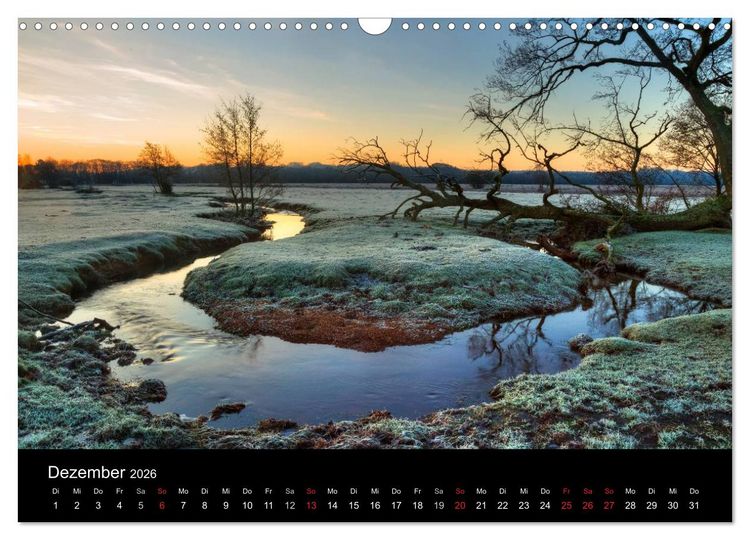 Produktbild: New Forest - England (Wandkalender 2026 DIN A3 quer), CALVENDO Monatskalender