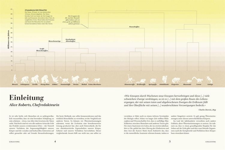 Produktbild: HUMANS. Der Mensch