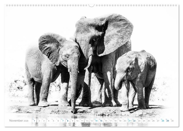 Produktbild: AFRIKA - Schwarz-weiss Fotografien im modernen "High Key" Look (Wandkalender 2026 DIN A2 quer), CALVENDO Monatskalender