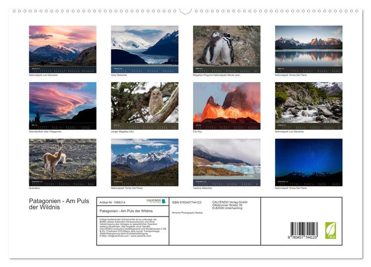 Produktbild: Patagonien - Am Puls der Wildnis (hochwertiger Premium Wandkalender 2026 DIN A2 quer), Kunstdruck in Hochglanz