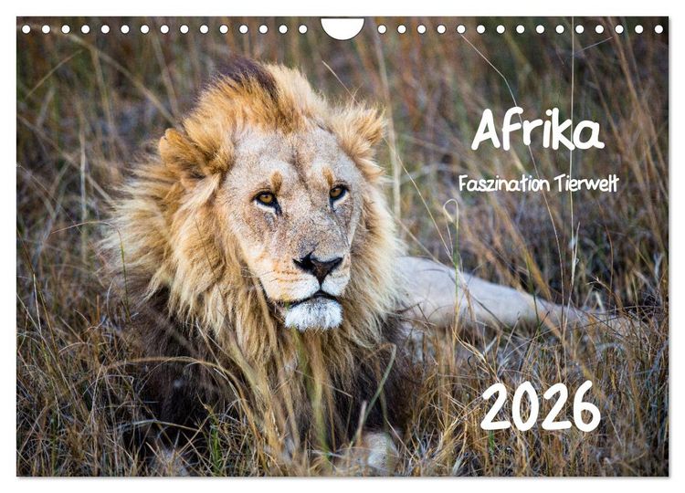Produktbild: Afrika - Faszination Tierwelt (Wandkalender 2026 DIN A4 quer), CALVENDO Monatskalender