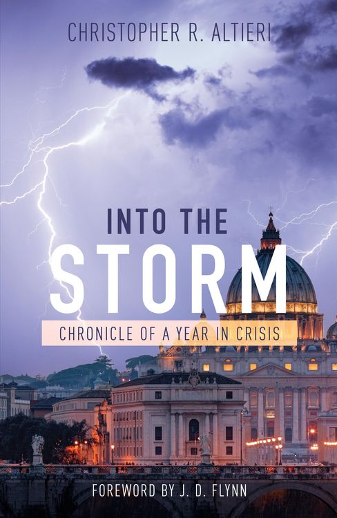 Produktbild: Into the Storm