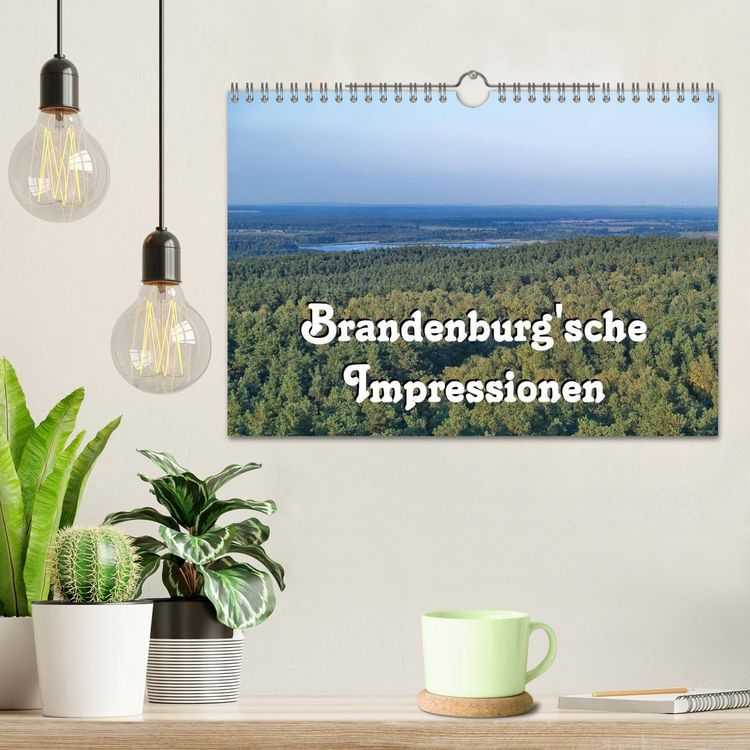 Produktbild: Brandenburg'sche Impressionen (Wandkalender 2026 DIN A4 quer), CALVENDO Monatskalender