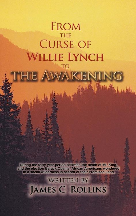 Produktbild: From the Curse of Willie Lynch to the Awakening