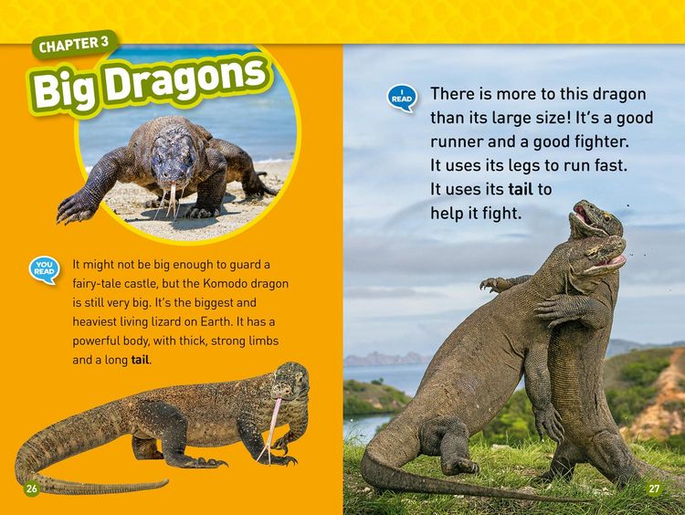 Produktbild: Real Dragons! (National Geographic Kids Readers, Level 1/Co-Reader)