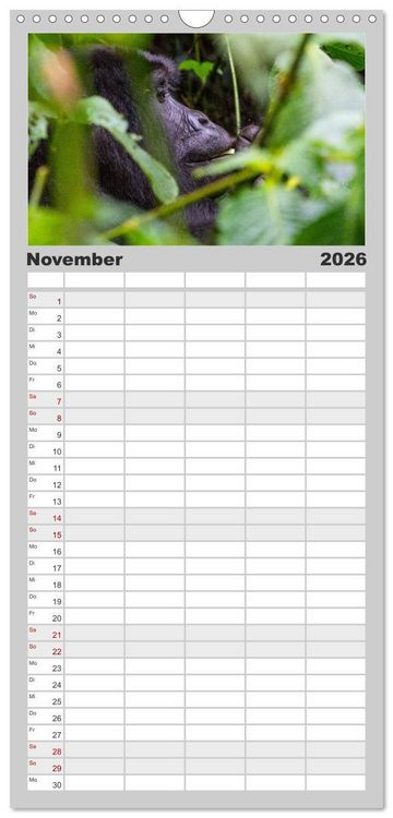 Produktbild: Familienplaner 2026 - Gorillas ohne Nebel mit 5 Spalten (Wandkalender, 21 x 45 cm) CALVENDO