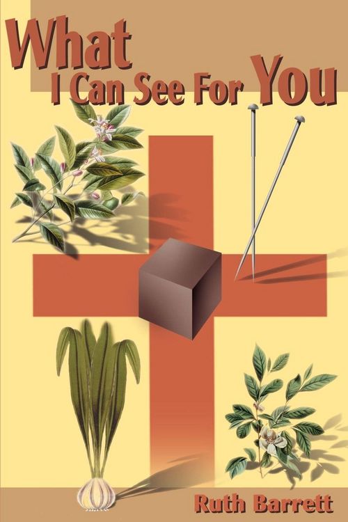 Produktbild: What I Can See for You!