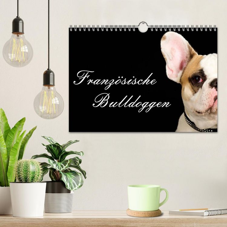 Produktbild: Franz&ouml;sische Bulldoggen (Wandkalender 2026 DIN A4 quer), CALVENDO Monatskalender