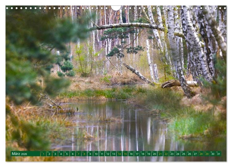 Produktbild: Der Loben. Im Reich der Moorgeister und Kreuzottern- S&uuml;dbrandenburgs letztes gro&szlig;es Moor (Wandkalender 2026 DIN A3 quer), CALVENDO Monatskalender
