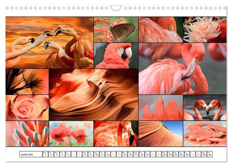 Produktbild: Colour Symphonies of the Earth (Wall Calendar 2026 DIN A3 landscape), CALVENDO 12 Month Wall Calendar