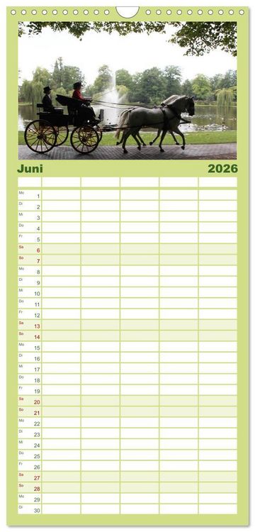 Produktbild: Familienplaner 2026 - CIAT - Historischer Fahrsport in Celle mit 5 Spalten (Wandkalender, 21 x 45 cm) CALVENDO