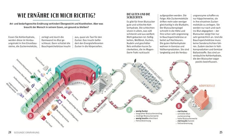 Produktbild: Diabetes-Kochbuch