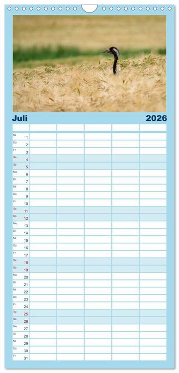 Produktbild: Familienplaner 2026 - Unsere Vogelvielfalt: Ein Schatz zum Entdecken und Sch&uuml;tzen mit 5 Spalten (Wandkalender, 21 x 45 cm) CALVENDO