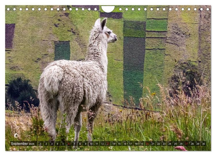 Produktbild: Ecuador 2026 Zwischen Hochland und K&uuml;ste (Wandkalender 2026 DIN A4 quer), CALVENDO Monatskalender