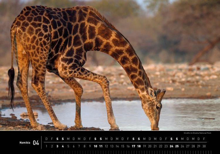 Produktbild: Namibia Premiumkalender 2027