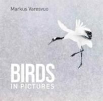 Produktbild: Varesvuo, M: Birds in Pictures