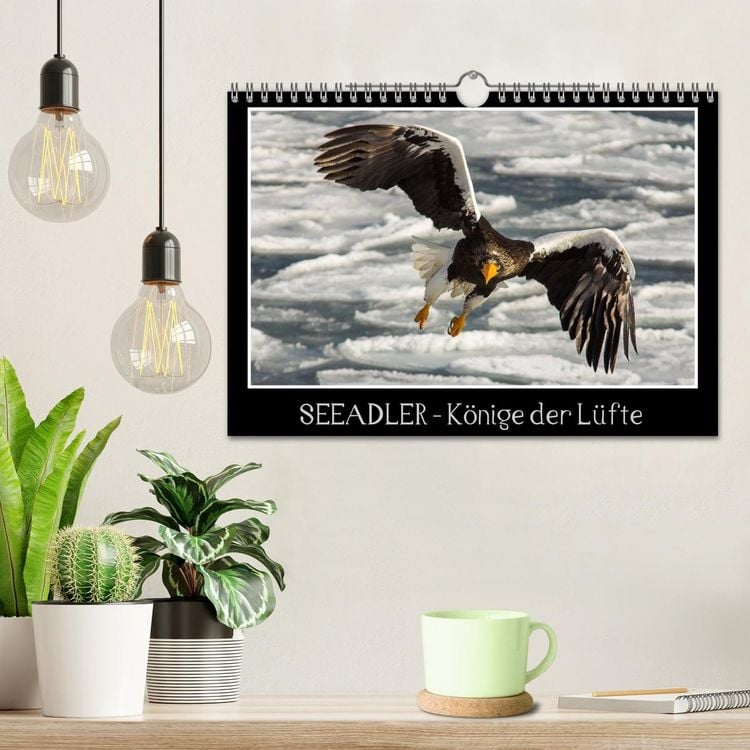 Produktbild: Seeadler - K&ouml;nige der L&uuml;fte (Wandkalender 2026 DIN A4 quer), CALVENDO Monatskalender
