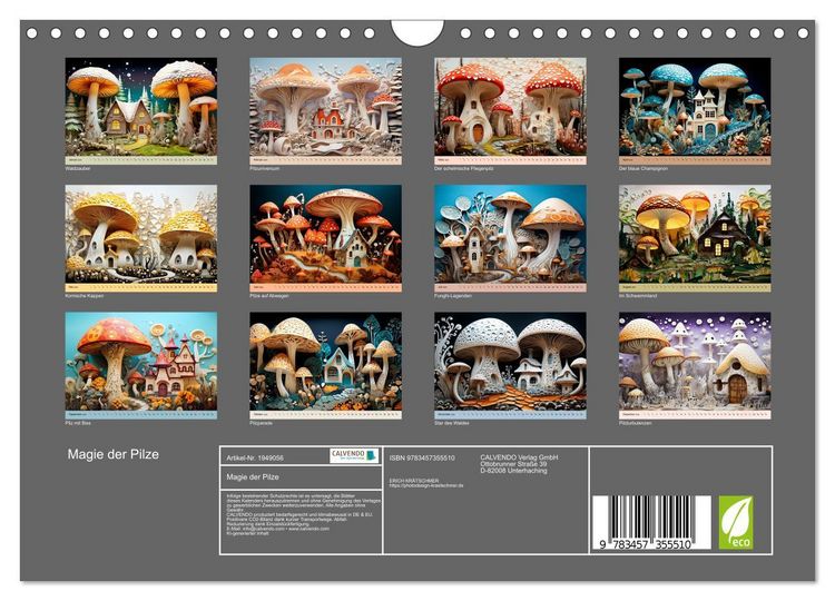 Produktbild: Magie der Pilze (Wandkalender 2026 DIN A4 quer), CALVENDO Monatskalender