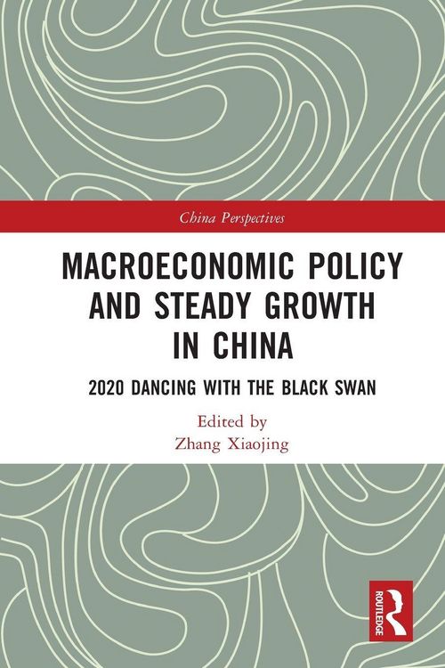 Produktbild: Macroeconomic Policy and Steady Growth in China