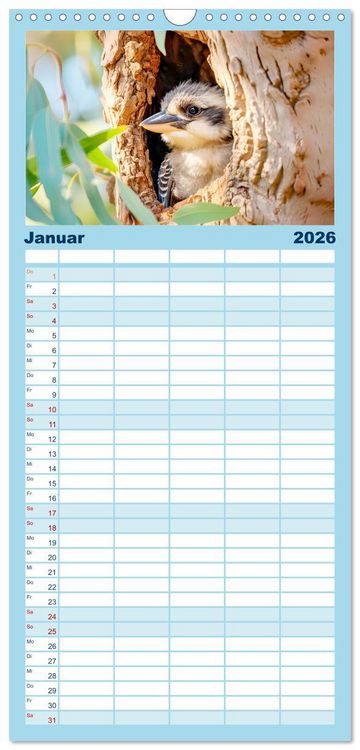 Produktbild: Familienplaner 2026 - Der Kookaburra - Im australischen Busch mit dem lachenden Hans mit 5 Spalten (Wandkalender, 21 x 45 cm) CALVENDO