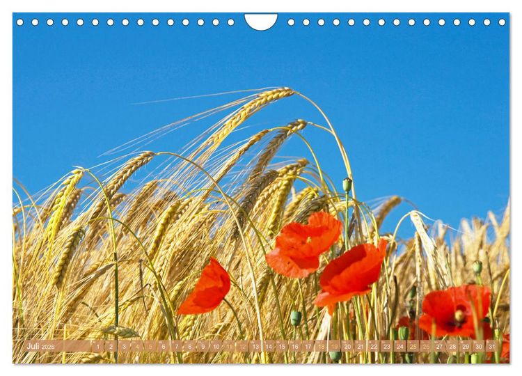Produktbild: Whisky: Reine Geschmacksache (Wandkalender 2026 DIN A4 quer), CALVENDO Monatskalender