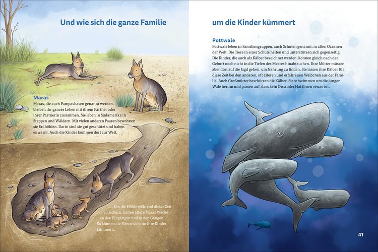 Produktbild: Die kunterbunte Welt der Tierfamilien