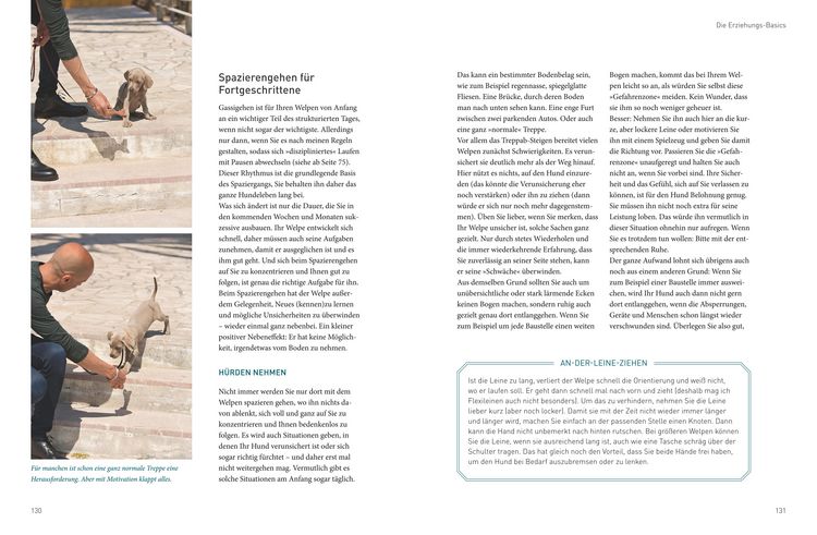 Produktbild: Jos&eacute; Arces Welpenbuch