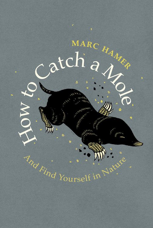 Produktbild: How to Catch a Mole