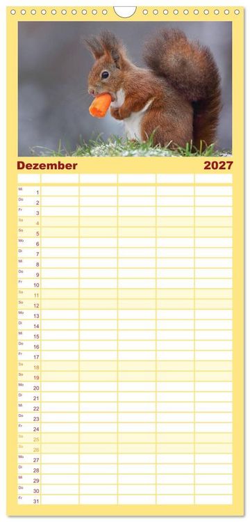 Produktbild: Familienplaner 2027 - Eichh&ouml;rnchen in zauberhaften Posen mit 5 Spalten (Wandkalender, 21 x 45 cm) CALVENDO