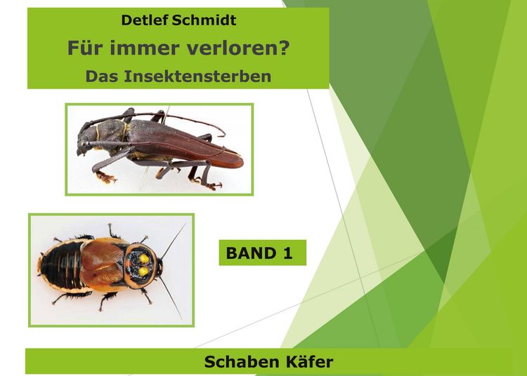 Produktbild: F&uuml;r immer verloren? Band 1 K&auml;fer und Schaben