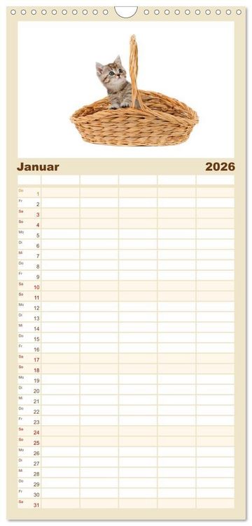 Produktbild: Familienplaner 2026 - Katzenbabys mit 5 Spalten (Wandkalender, 21 x 45 cm) CALVENDO