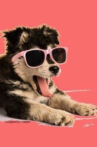 Produktbild: Notizb&uuml;cher / S&uuml;&szlig;es Hunde Notizbuch Businessplaner Geschenkidee f&uuml;r Mann Frau und Kind