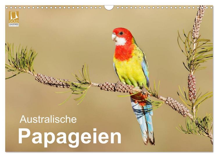 Produktbild: Australische Papageien (Wandkalender 2026 DIN A3 quer), CALVENDO Monatskalender